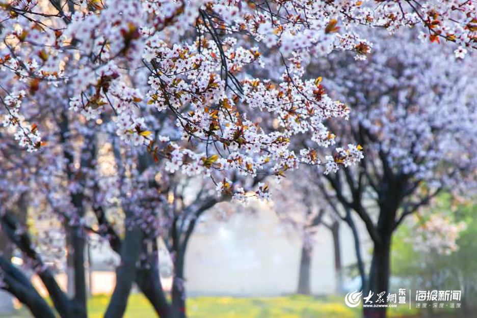  ږ|Irӛ ˇ ͨӍT Ęsz